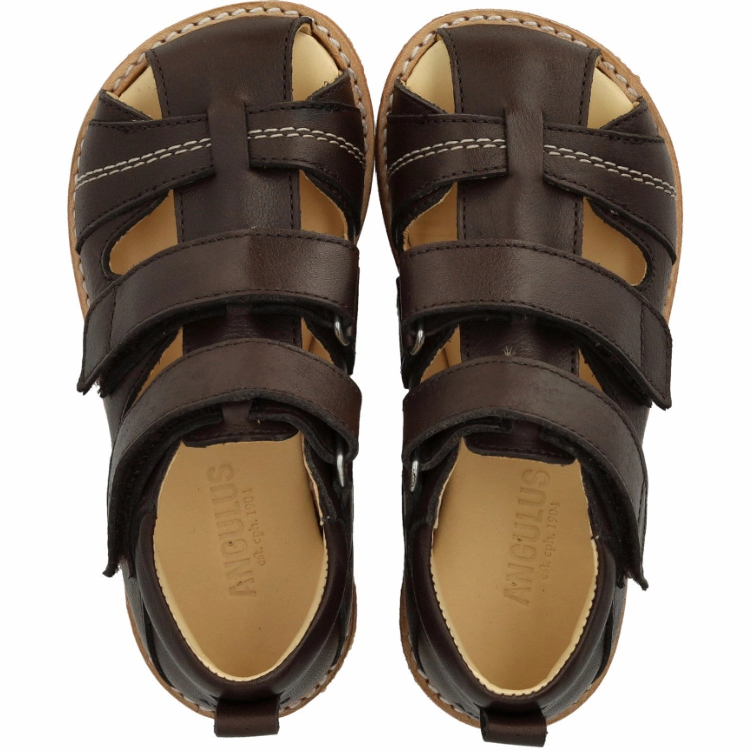 Angulus Dark Brown Beginner Sandal Med Velcro Closure Retro shoes