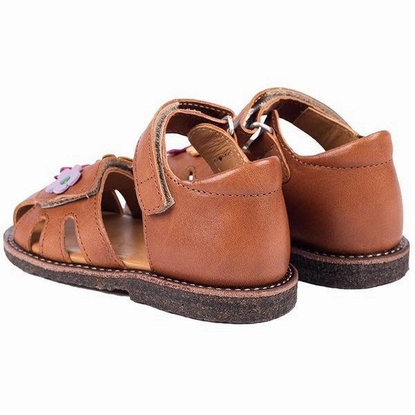 Basketball shoes Angulus Starter Sandals Cognac