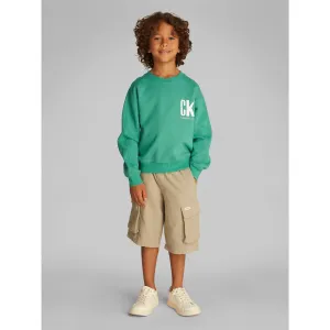 Calvin Klein Bahama Green Summer Backprint Cn Hoodie Rare Style