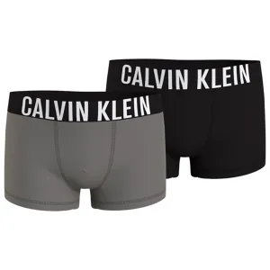 Calvin Klein Boxershorts 2-pack Pebblestone/Pvh Black Signature Global