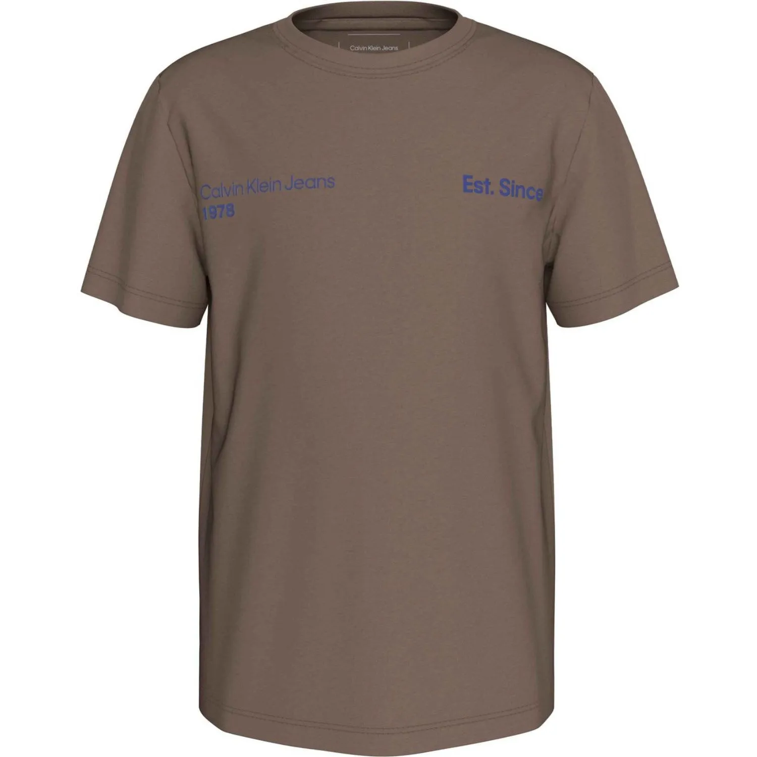 Calvin Klein Falcon Reg. CK Graphic Tee Ss Valuable Chic