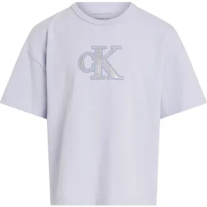 Calvin Klein Purple Heather Metallic Ck T-Shirt Iconic Prestige