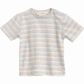 Celebrated Serendipity Rainbow Stripe Baby Jersey T-shirt Sleek