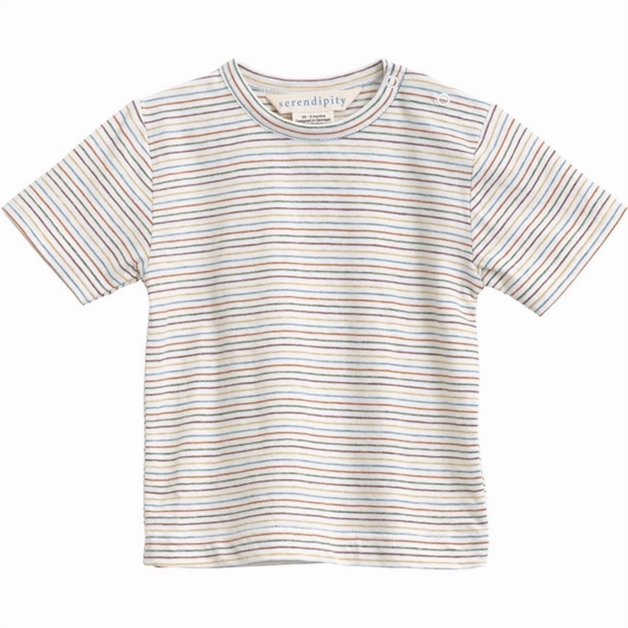 Celebrated Serendipity Rainbow Stripe Baby Jersey T-shirt Sleek