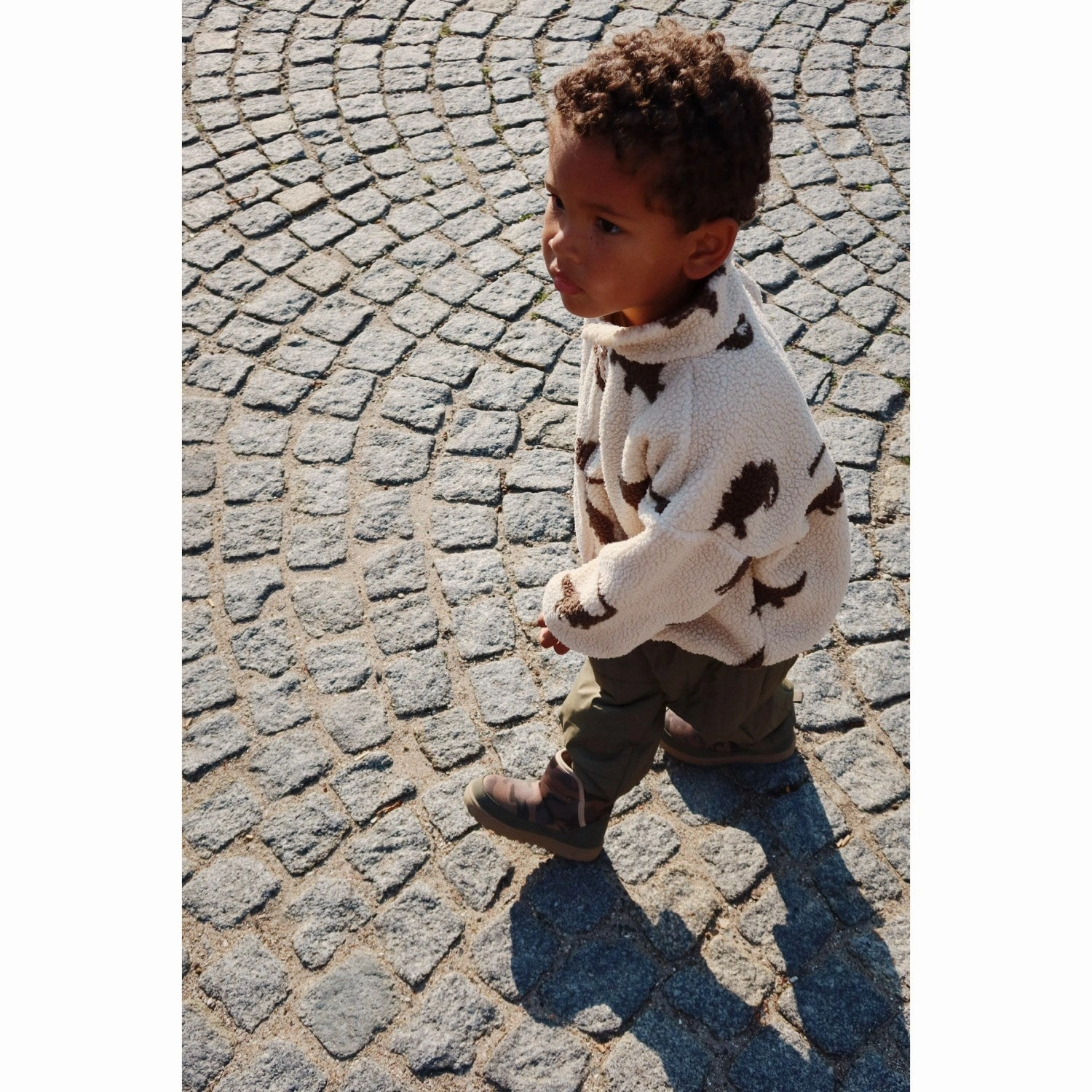 Cozy Konges Sljd Dino Silhouette Jody Teddy Jacket Grs