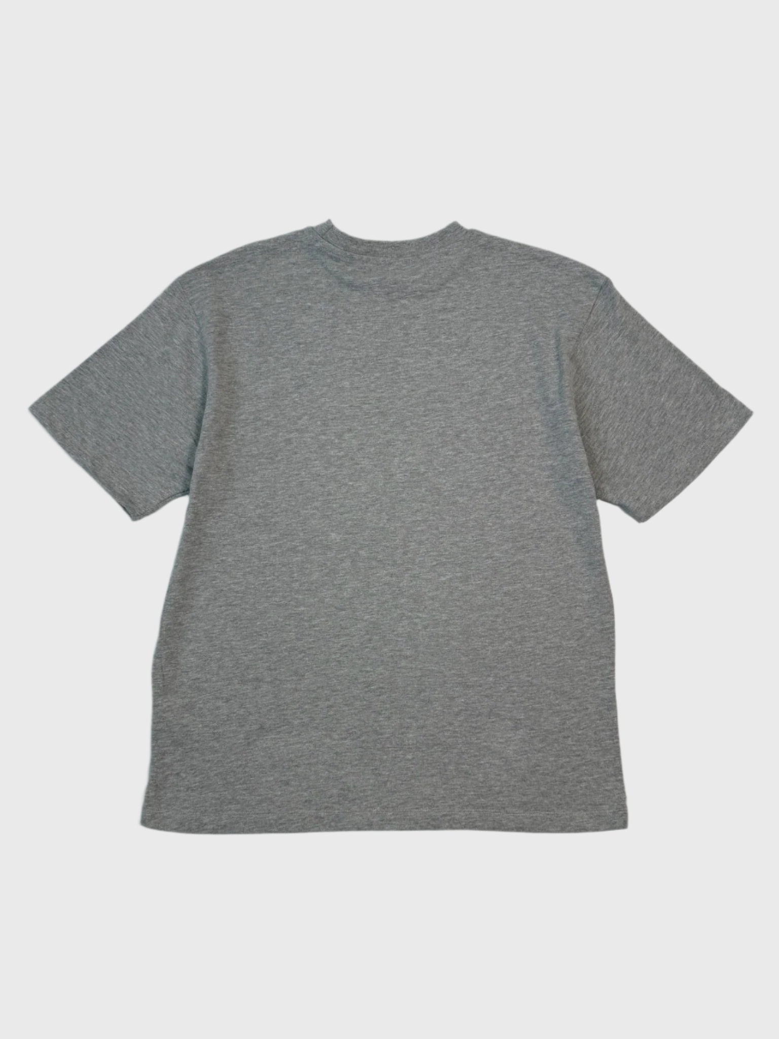 desray new arrivals ladies T-shirt Grigia Con Stampa new collection mangalsutra