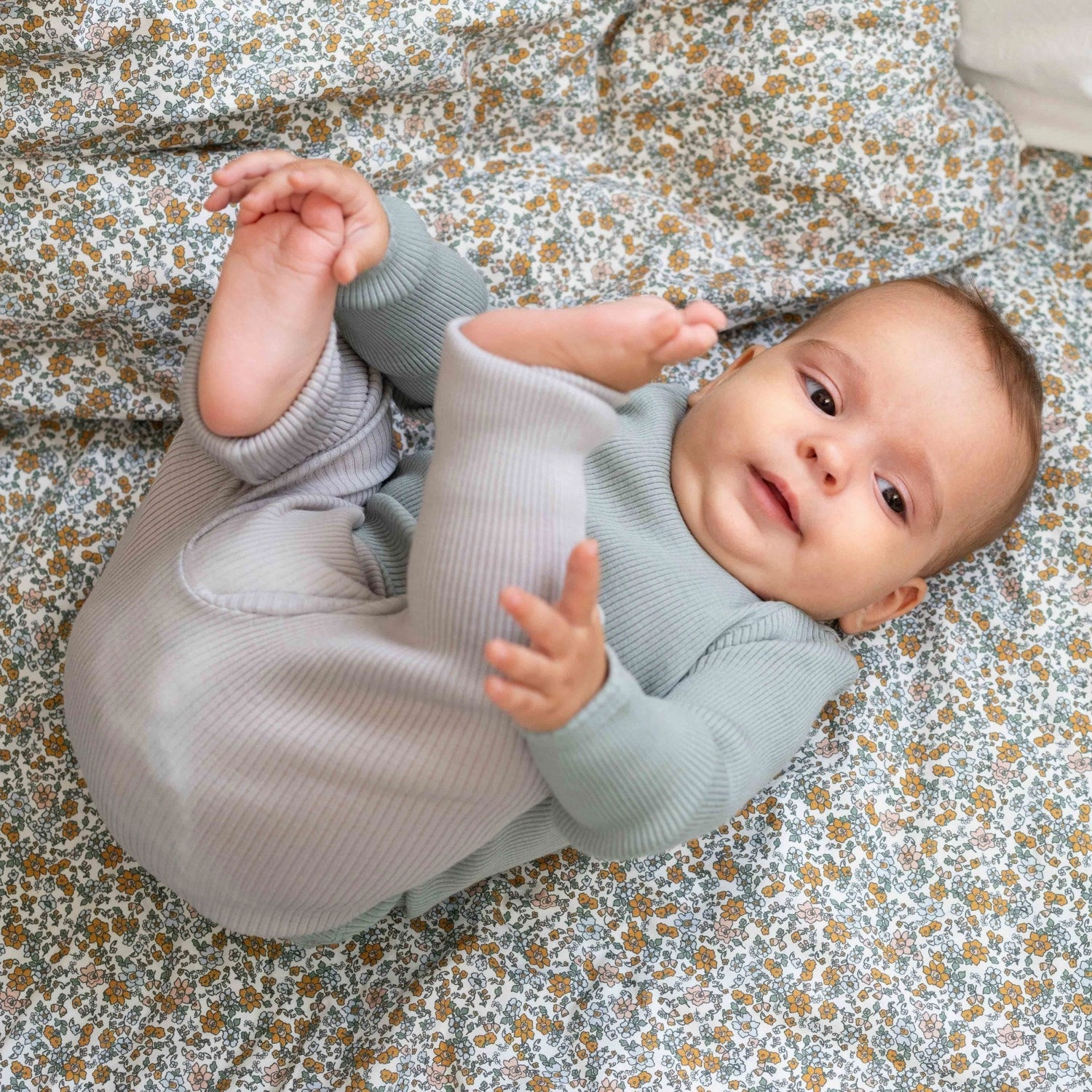 Edgy Minimalisma Arctic Mist Alaska Body