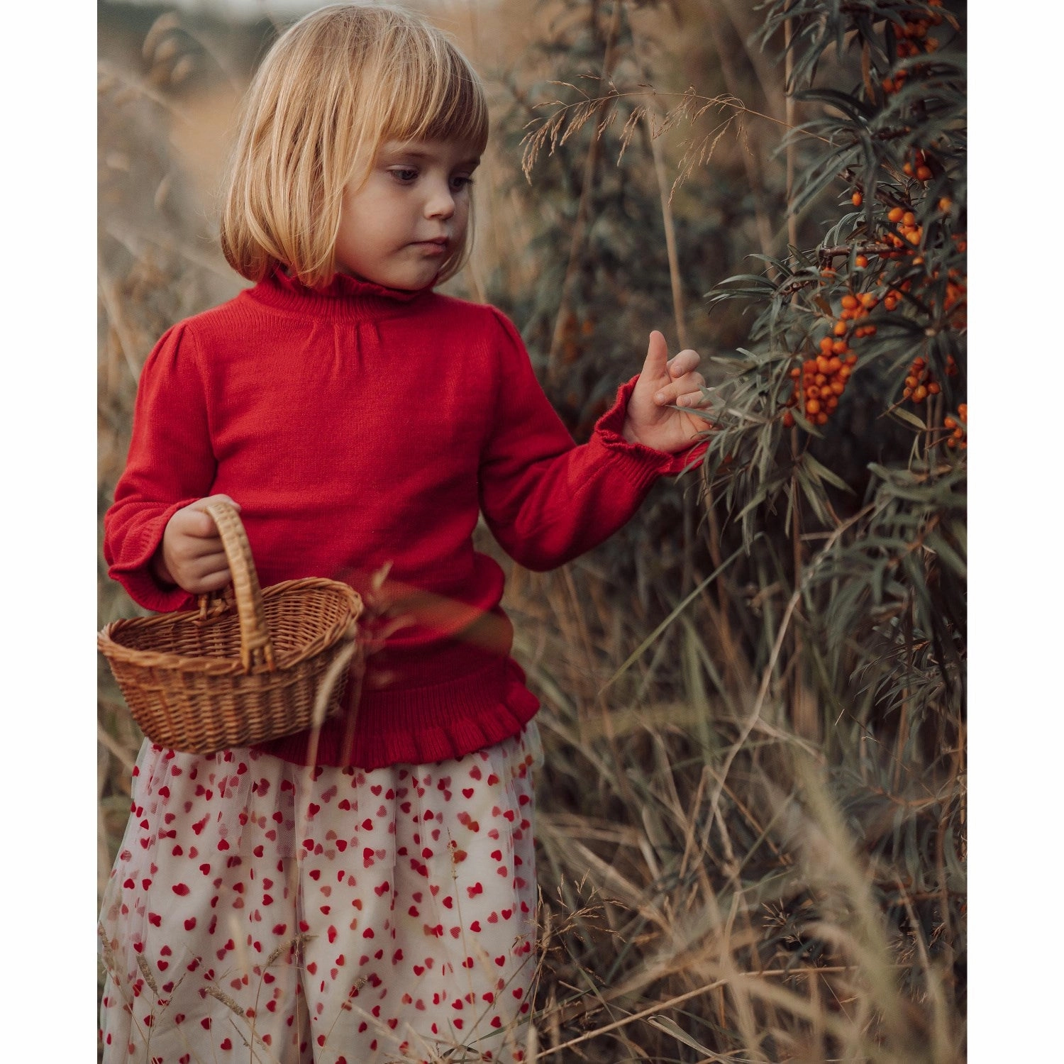 Fliink Sandshell/ Pompeian Red Tulle Heart Skirt Long-lasting
