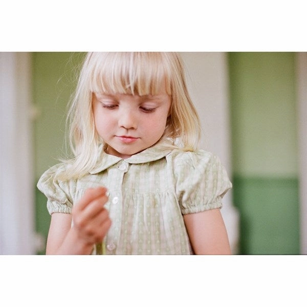 Flss Stella Dress Lime Gingham Cotton