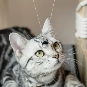Friendly Cat Necklace