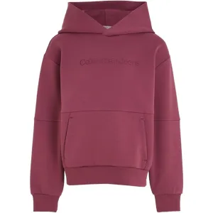 Heritage Calvin Klein Spacer Debossed Logo Hoodie Porpoise Authentic