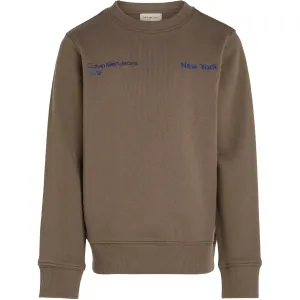 Iconic Brand Calvin Klein Falcon Terry Graphic Cn Crewneck Dominance