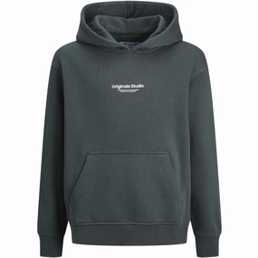Jack & Jones Junior Forest River Jorvesterbro Sweat Hoodie Noos Lavish Retro