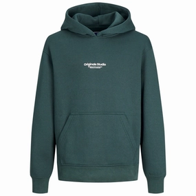 Jack & Jones Junior Magical Forest Vesterbro Sweat Hoodie Noos Treasure Superior