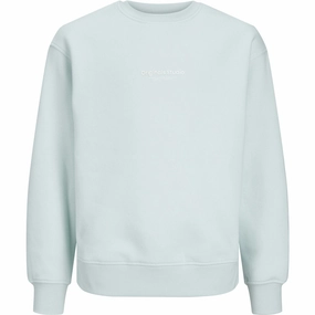 Jack & Jones Junior Skylight Jorvesterbro Sweatshirt Majestic Pioneer