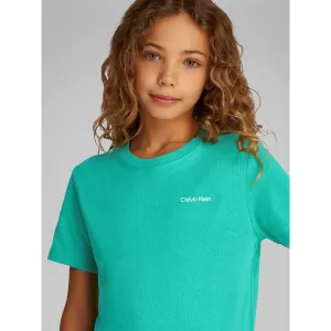 Leadership Calvin Klein Bahama Green Chest Inst.Logo Ss T-Shirt Captivating