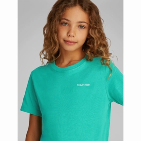 Leadership Calvin Klein Bahama Green Chest Inst.Logo Ss T-Shirt Captivating