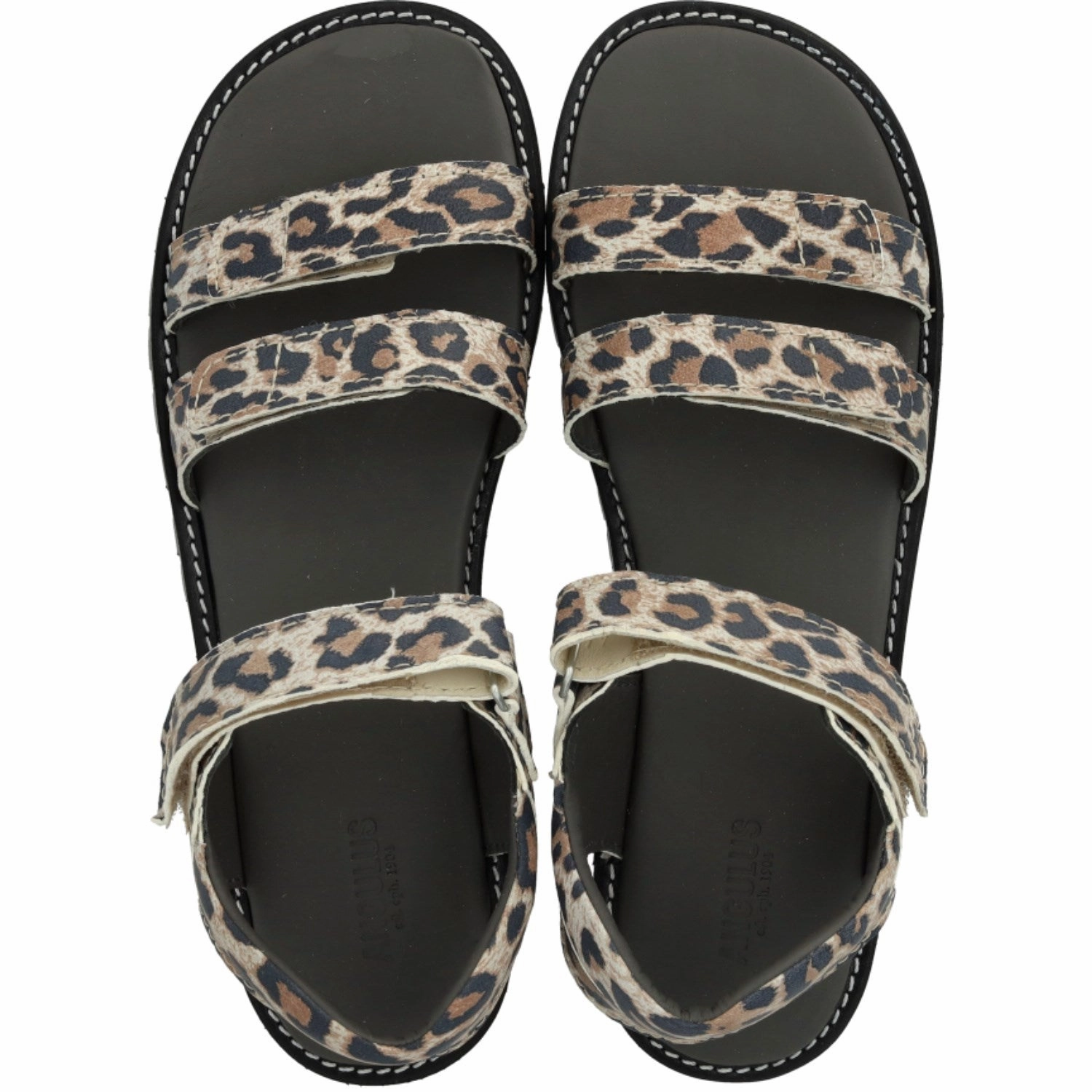 Limited edition shoes Angulus Leopard Suede Adjustable Leather Sandal with Velcro
