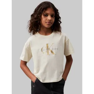 Luxury Calvin Klein Afterglow Glitter MonAndram Boxy Tee Ss Retro