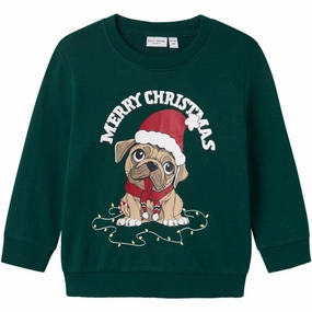 Name It Botanical Garden Vismas Regular Sweatshirt Design Embroidery