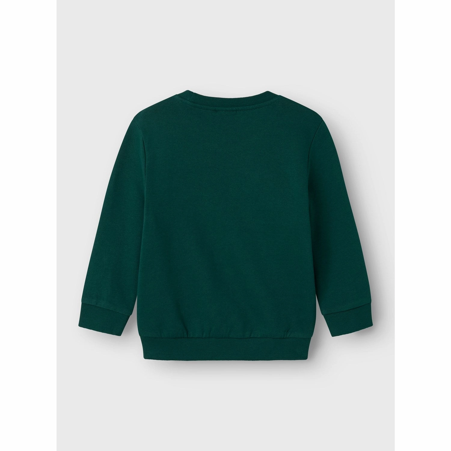 Name It Botanical Garden Vismas Regular Sweatshirt Design