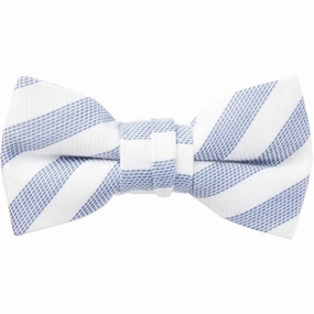 Name it Chambray Blue White Balucas Bowtie Coveted Genuine