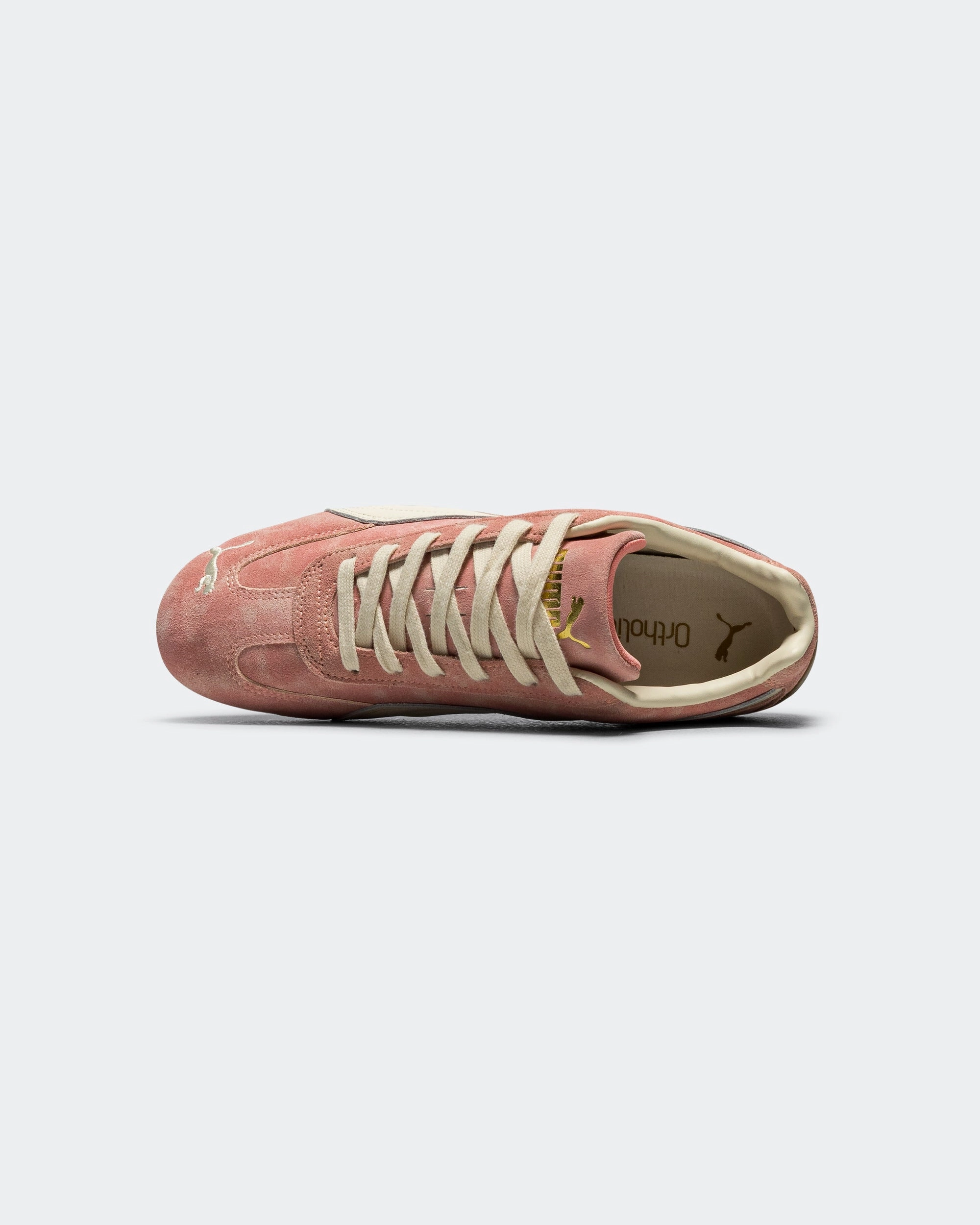 new arrival kurti Speedcat Faded - Carnation Pink/Alpine Snow