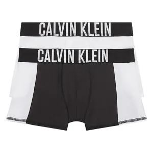 Perfection Calvin Klein Boxershorts 2-Pack Black/White Masterpiece
