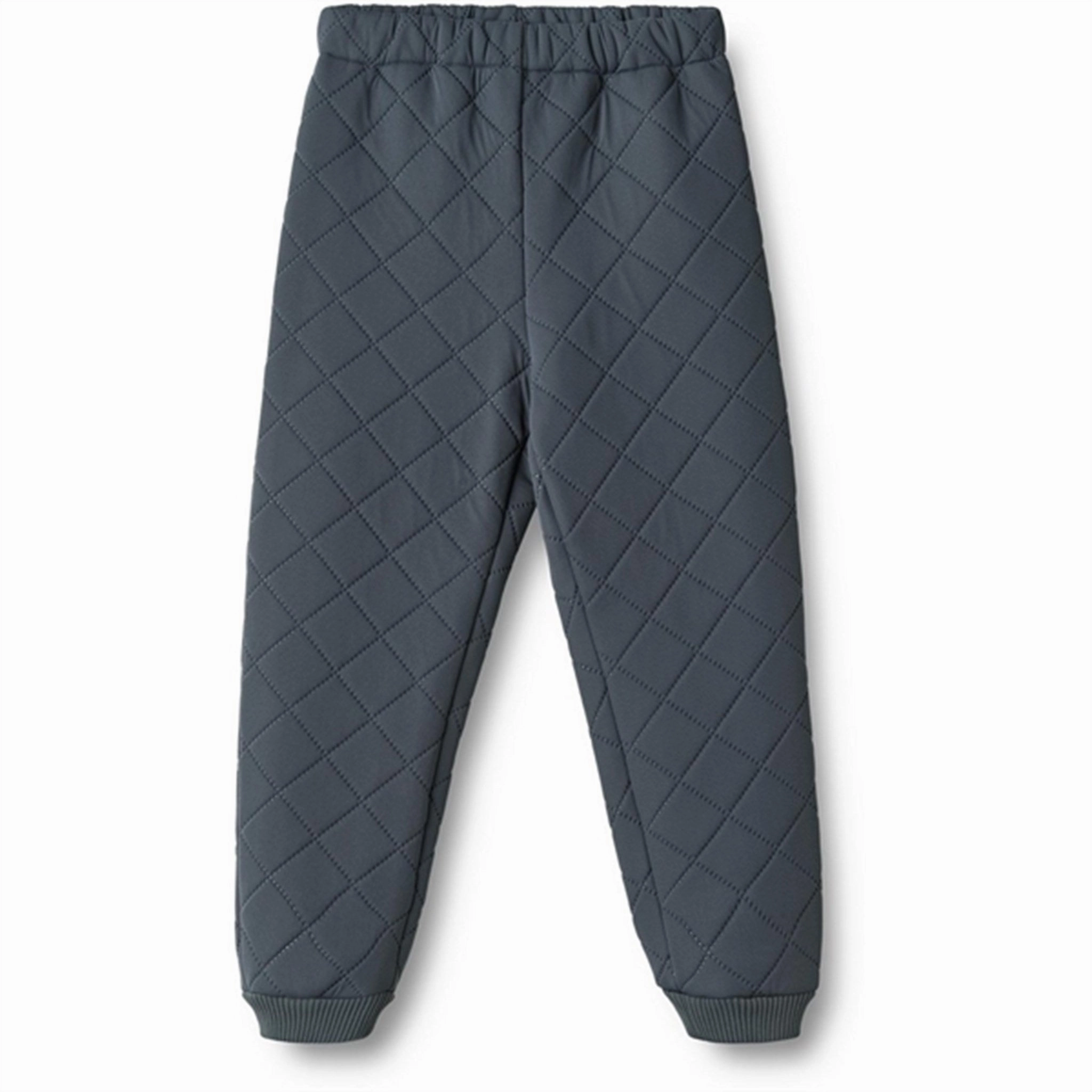 Polyester Wheat Thermo Ink Pants Alex