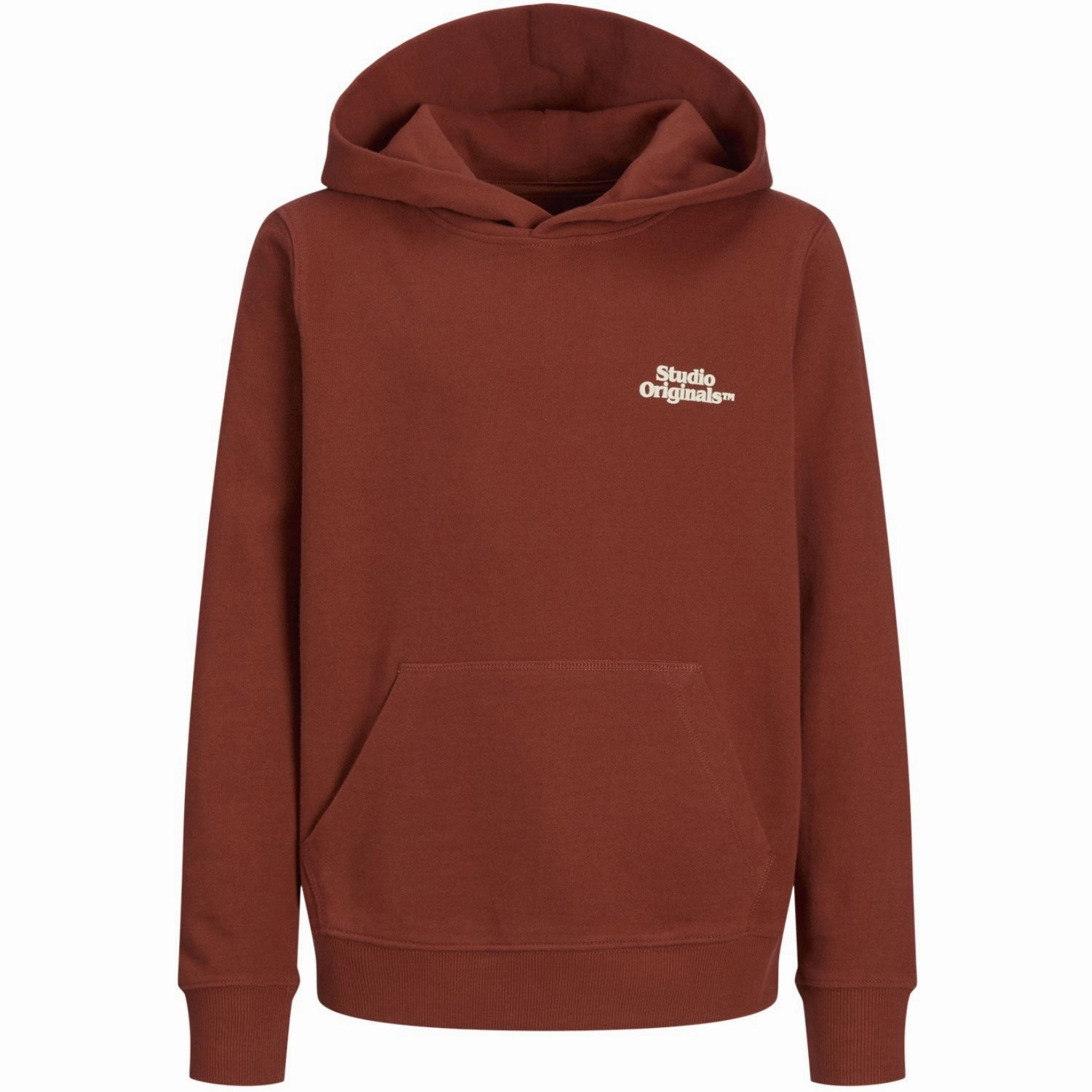 Premium Jack & Jones Junior Arabian Spice Aros Type Sweat Hoodie Back Coveted