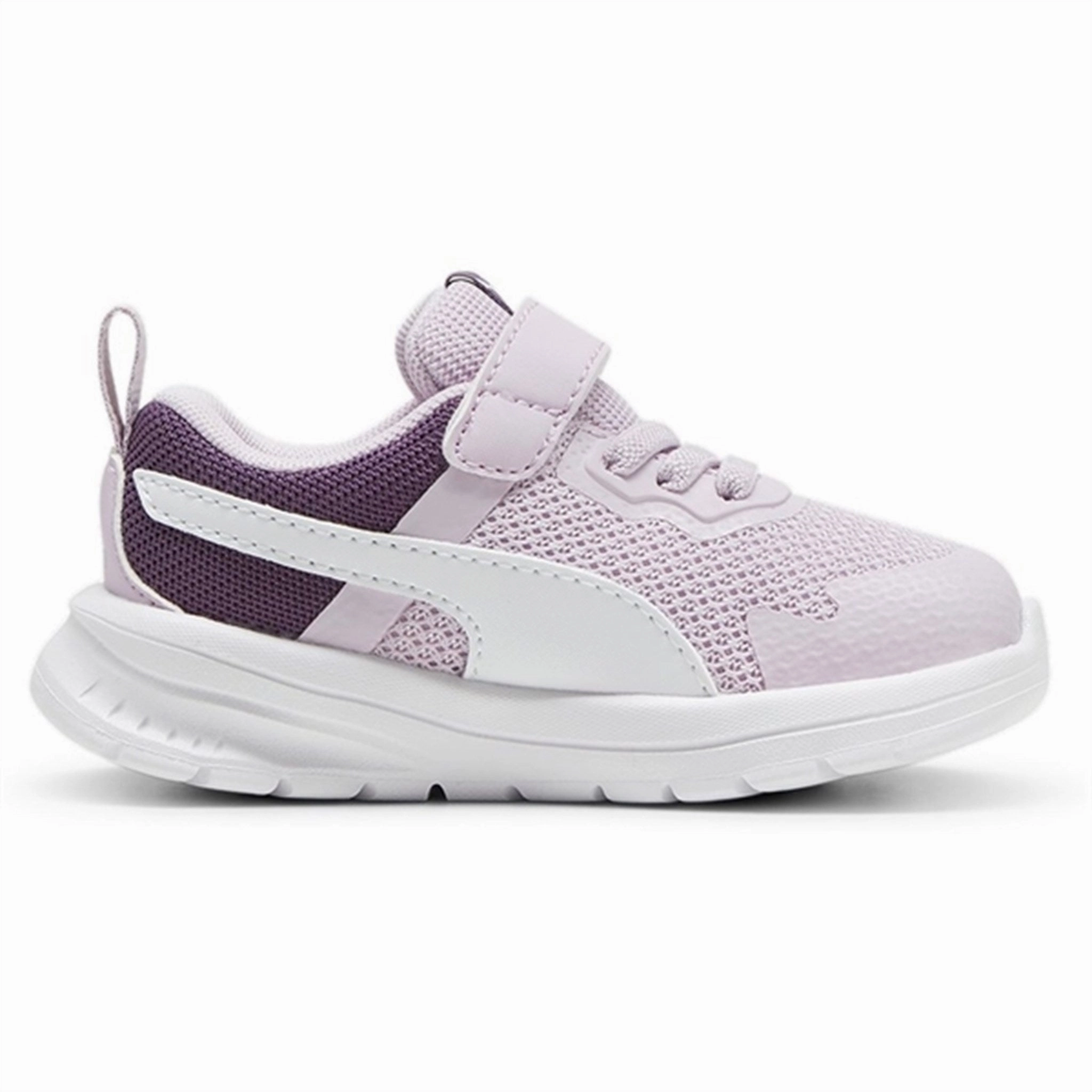 Puma Evolve Run Mesh Ac  Inf Sneakers Purple Stylish shoes
