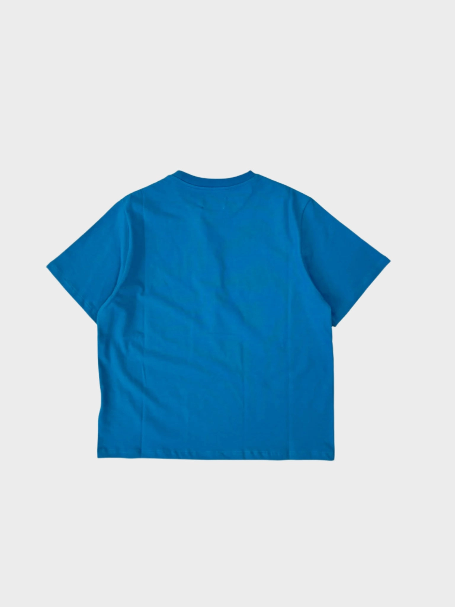 puma new arrivals T-Shirt Blu Con Stampa vialli new arrivals