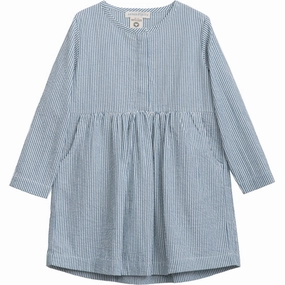 Renowned Serendipity Sapphirestripe Dress Elegant