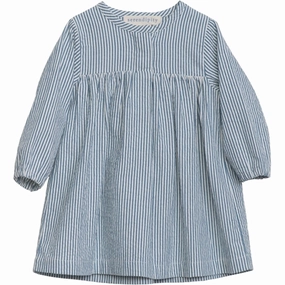 Responsible Serendipity Sapphirestripe Baby Dress Trend