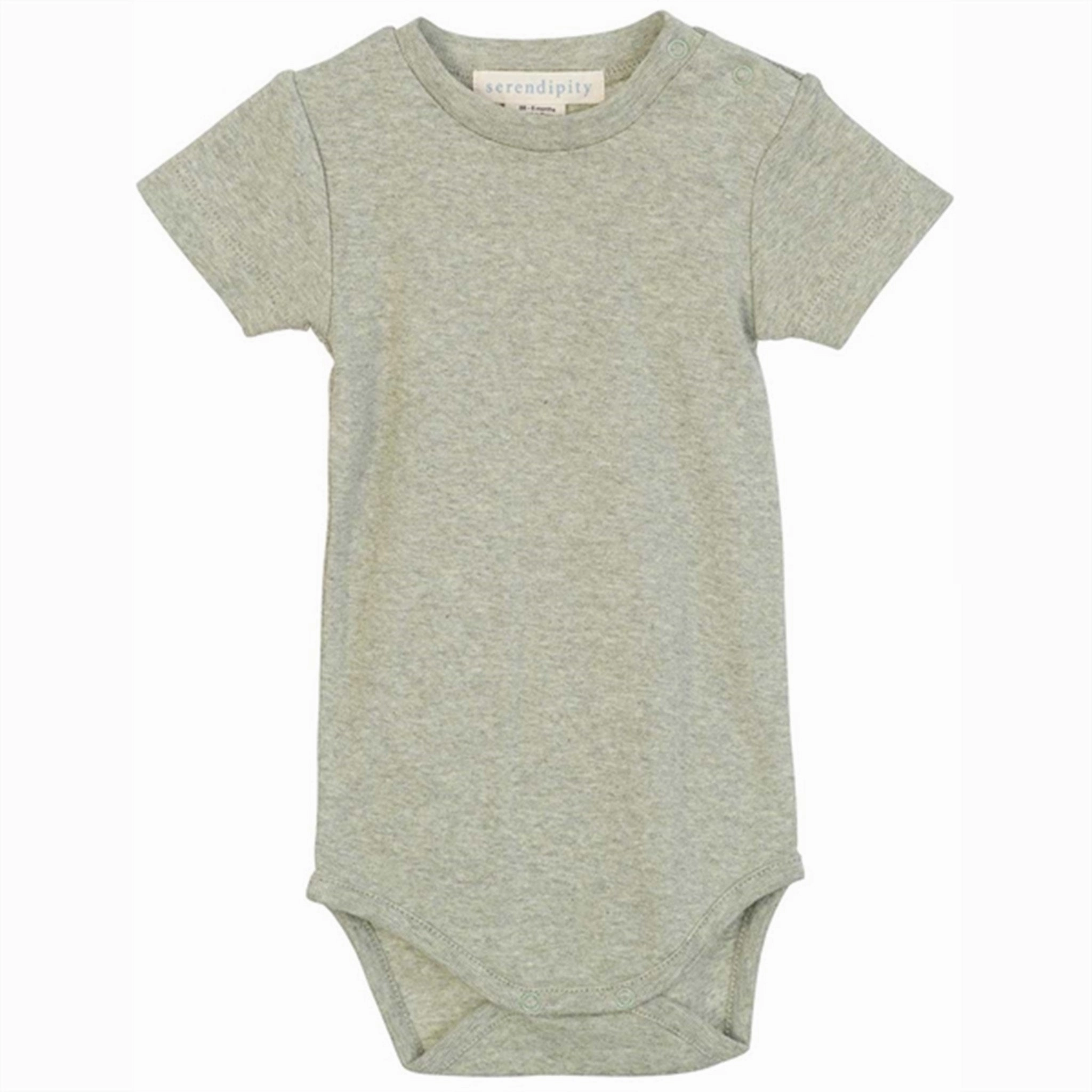Serendipity Sage Baby Short Sleeve Body Modern Famous