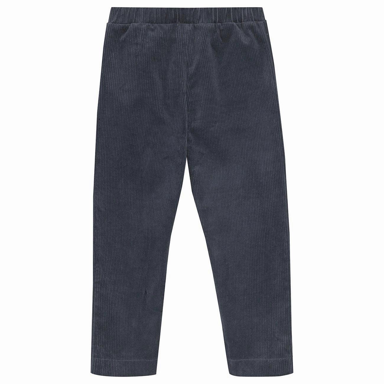 Suede Huttelihut Stormy Weather Pants Corduroy