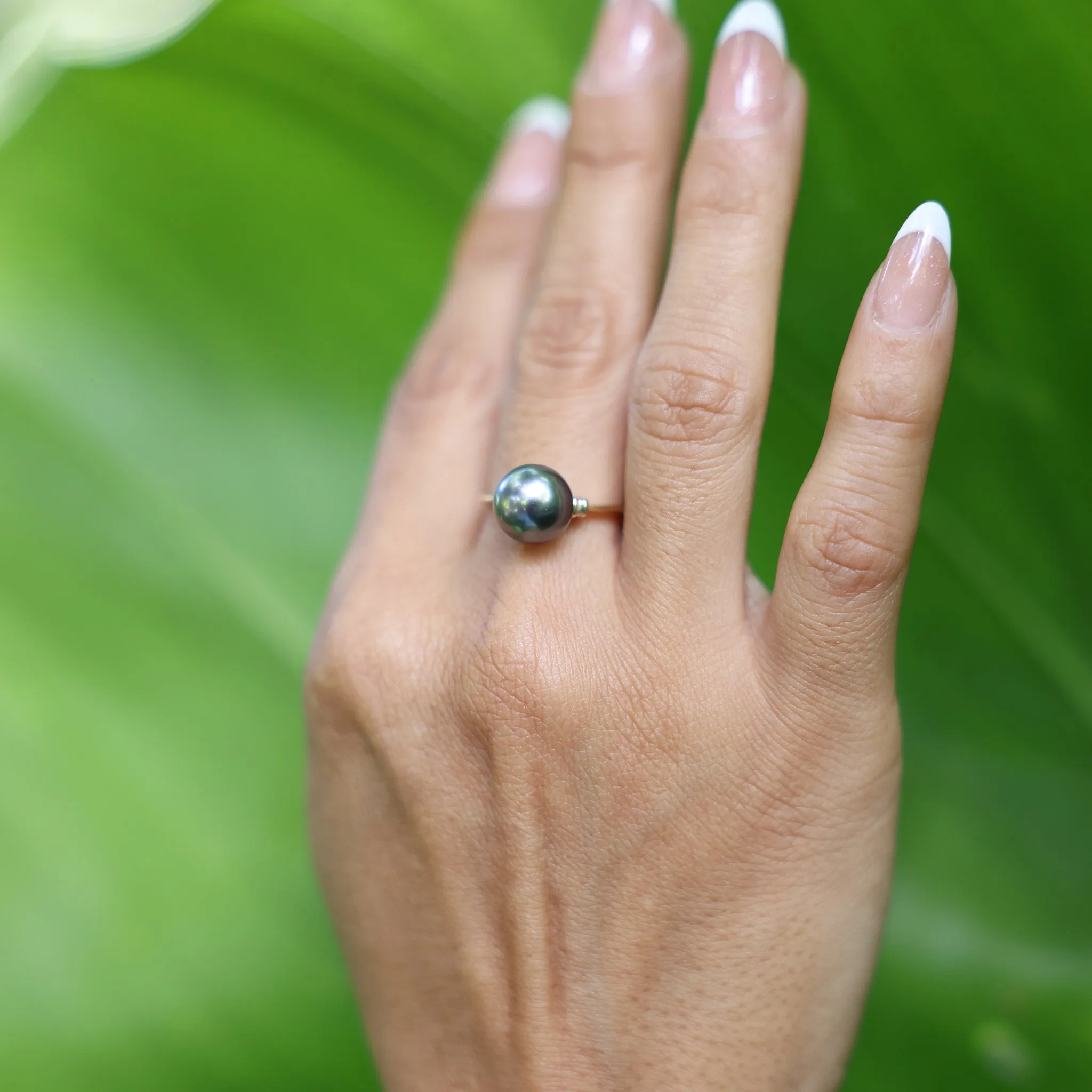Tahitian Black Pearl Ring in Gold - 9-10mm