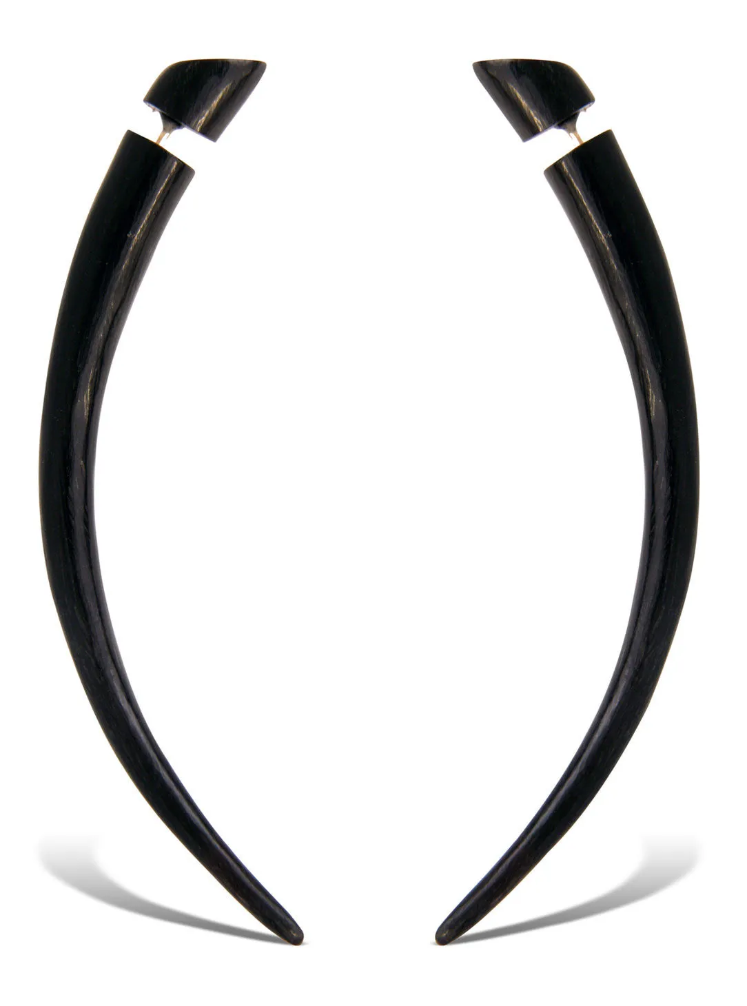 Talons - Horn