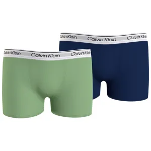 Trend Calvin Klein Boxershorts 2-pack Springfern/Boldblue Masterpiece
