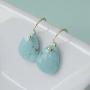 Turquoise Drop Earrings