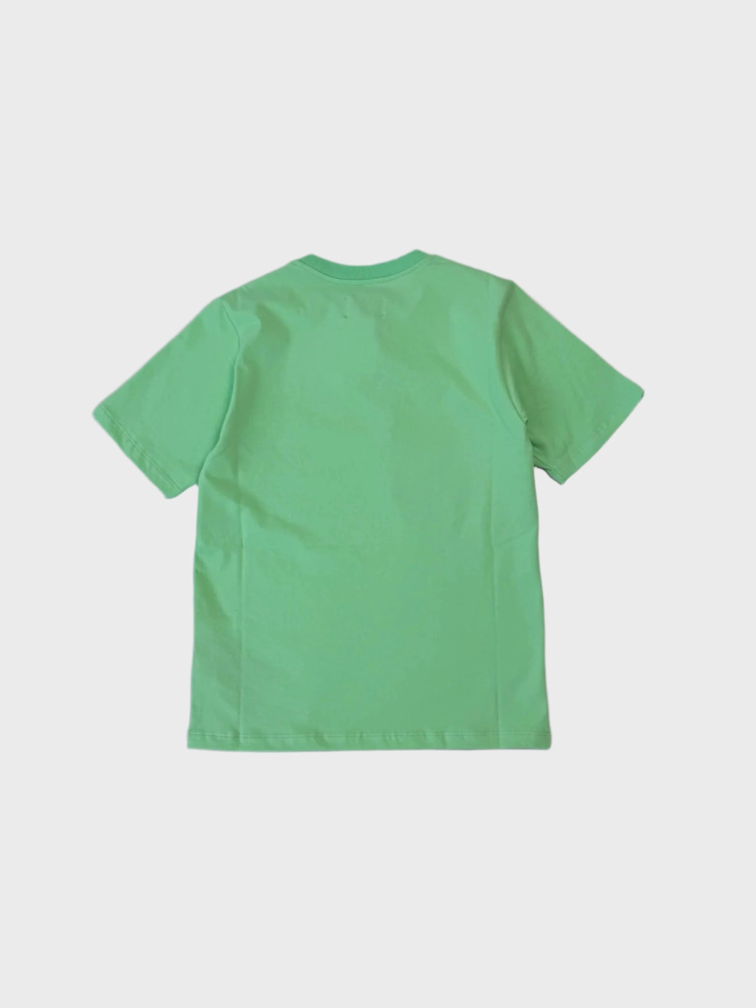 zara new arrivals T-Shirt Verde Con Stampa new arrivals payetli elbise